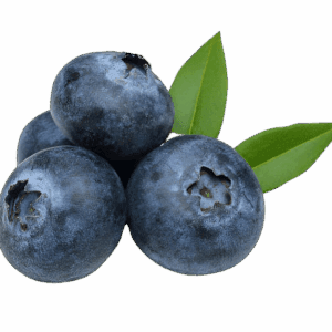 Blueberry